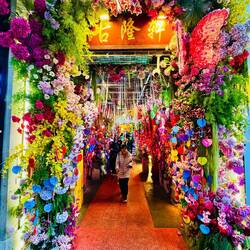 Bunter geht's nicht 🤣