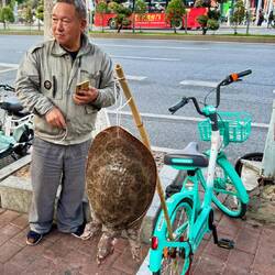Tiere haben keine Rechte 🥺