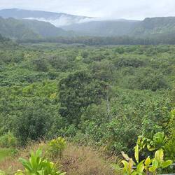 Nächster Aussichtspunkt