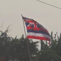 Die Flagge Hawaiis