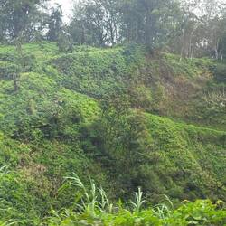 Auf der anderen Seite sieht man, wie sich die Straße hochschlängelt