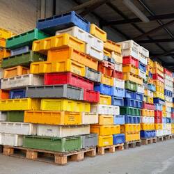 Frischer Fisch auf jeden Tisch