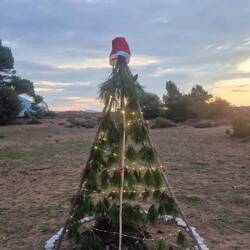..der Baum von Camper Bekannten ✨👌🏻🎄😍
