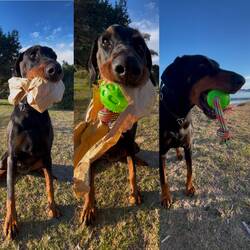 ..am Christtag feiern die Griechen WH✨und Lesley darf auch ein Packerl auspacken🎁