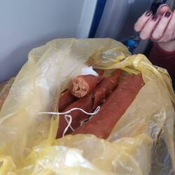 Maya verköstigt mich. Die Zeit verging tatsächlich wie im Flug😀.