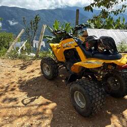 Das Wunschgefährt Uwe's