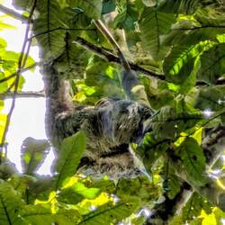 Hier liegt es etwas versteckt