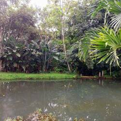 Leider keine bunten Frösche gesehen