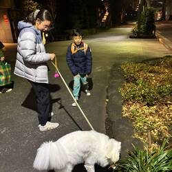 Taking Tomi out for an evening walk