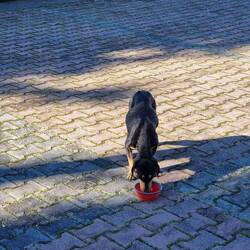 Sie war auch so mager wie sie aussieht.