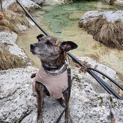 Schau mal was für ein schönes Mäntelchen ich habe.