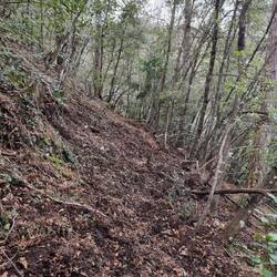 Überall war der Weg zerwült, aber den/die Verursacher haben wir glücklicherweise nicht getroffen.