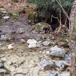 Unsere Begleitung immer gut hörbar.