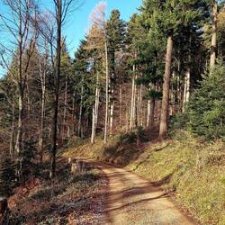 200 Hm Aufstieg 😅