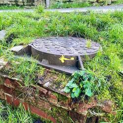 Yellow arrows in all sorts of places