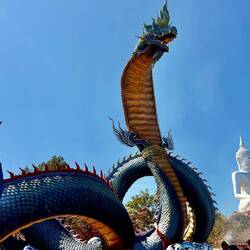 Le grand Bouddha et le Prayanak (dragon) ❤️