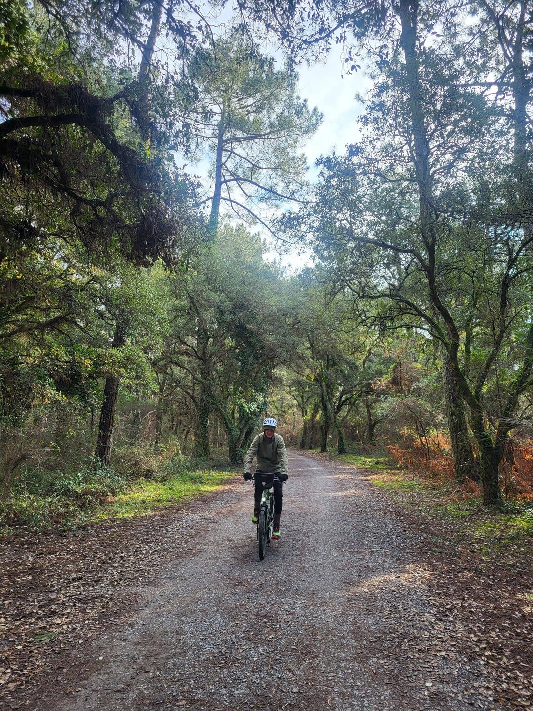Durch den schönen Küstenwald nach Bayonne.