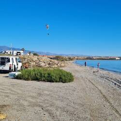 Da fliegt er, der Vogel