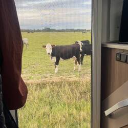 Unser Indisch muuhss gut gerochen haben