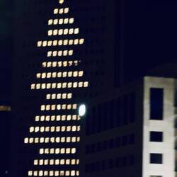 Ein Tännchen von der Autobahn aus erblickt.