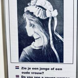 Wer sieht die alte Frau?