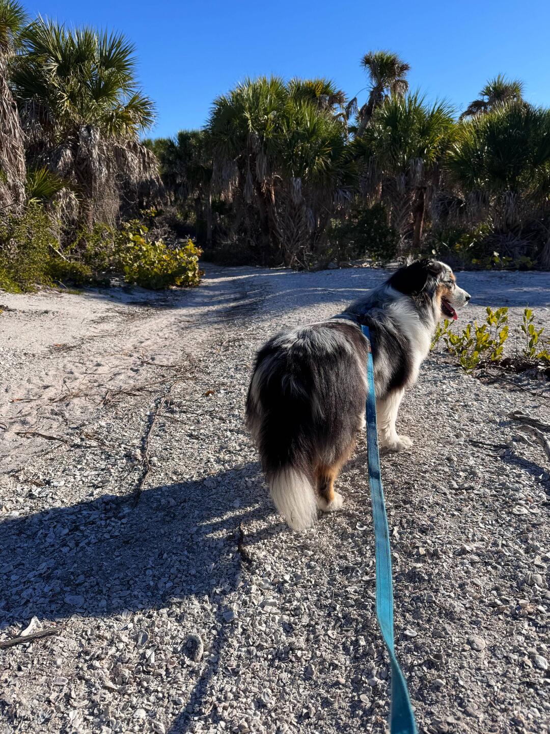 From yesterday's hike.