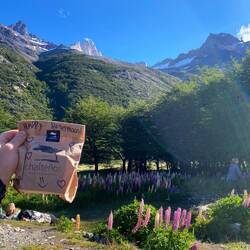 Geschenk unseres Hostels zum Honeymoon! ❤️