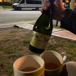 Happy new year 2026! 🍾