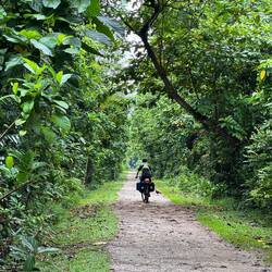 The disused railway line running across Singapore to Woodlands past the old Bukit Temah station.