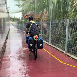 Lilz only just escaped the T-Rex!