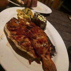 Our dinner ‘like red snapper but better’ (description by staff). Bigger on flavour and spiciness, th