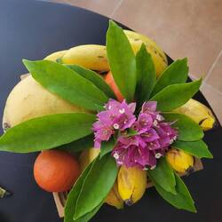 Panier de fruits en chambre 🥰