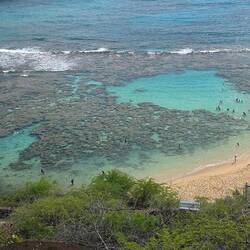 Baden und Schnorcheln am Riff