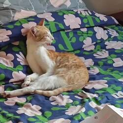 unser zeitweiser Mitbewohner