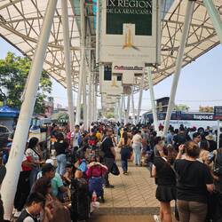 Was für ein Trubel am Busbahnhof!