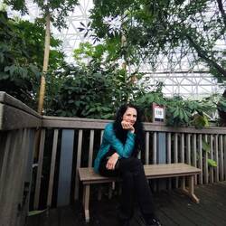 Biosphere 2 Regenwald