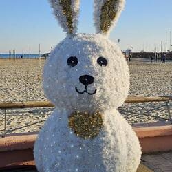 Der Osterhase im Weihnachtsurlaub 🐇.
