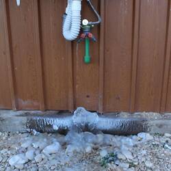 Ganz oft gesehen diese Variante