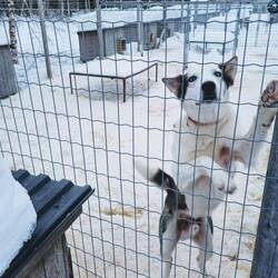 Die ersten warten schon. 😂