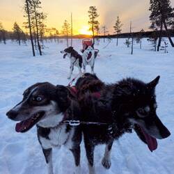 Links Salsa (der Spaßvogel im Team), rechts Caine (Salsas persönlicher Teddybär) 😂