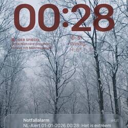 28 Minuten später erfolgte ein Alarmton 🫠.