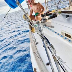 Mission Fischfang 🎣