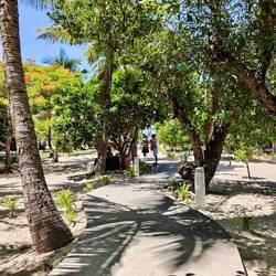 Malamala Island 🏝️