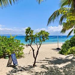 Malamala Island 🏝️