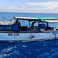 Fischverkäufer auf dem Meer