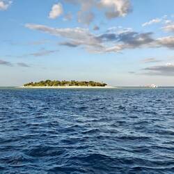 Malamala Island 🏝️