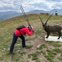 Ein Steinbock wollte sich mit einem Steinbock anlegen…