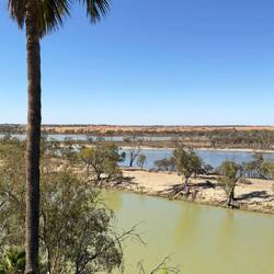 Murray River bei Waikerie