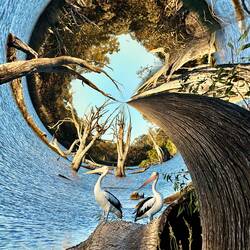 Frauke hat mit gebastelt 🥰