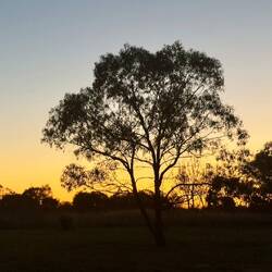 Sonnenaufgang um 5:00 🕔